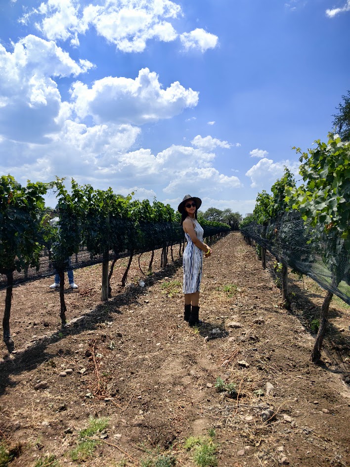 Vinos Regionales Premium