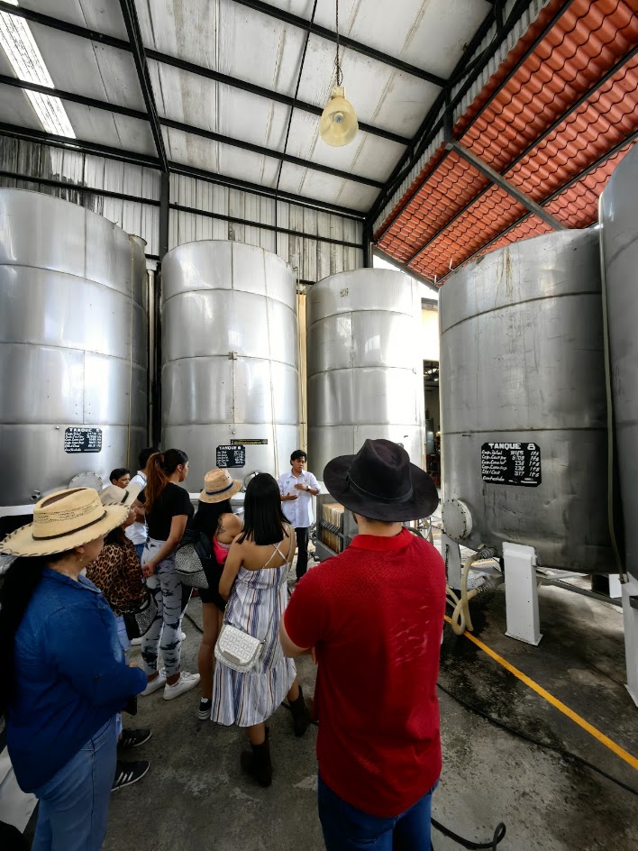 Vinos Regionales Premium